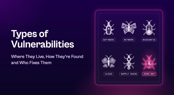 "Types of Vulnerabilities" blog thumbnail showing six pinned insect specimens in a display case, each one standing for a vulnerability type, with the zero-day beetle glowing in magenta.